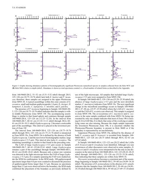 7. quantitative calcareous nannofossil biostratigraphy of ... - Ispra