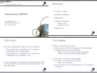 Variansanalyse (ANOVA)