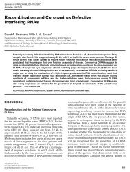 Recombination and Coronavirus Defective Interfering RNAs