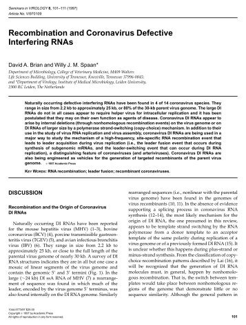 Recombination and Coronavirus Defective Interfering RNAs