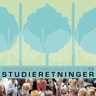 STUDIERETNINGER - EspergÃ¦rde Gymnasium og HF