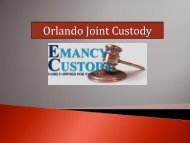 Orlando Joint Custody