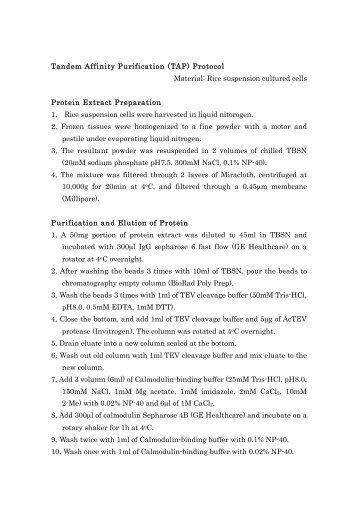 Tandem Affinity Purification (TAP) Protocol Material: Rice ...