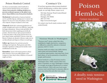 Poison Hemlock - Washington State Noxious Weed Control Board