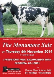 THE MONAMORE SALE