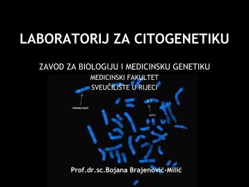 metode klasiÄne i molekularne citogenetike - Medicinski fakultet Rijeka
