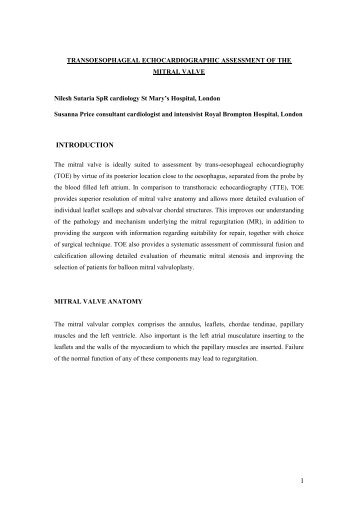 TOE and mitral valve assessment