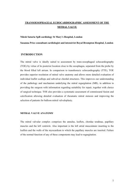 TOE and mitral valve assessment