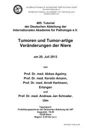 Tumoren und Tumor-artige Veränderungen der Niere - Iap-bonn.de