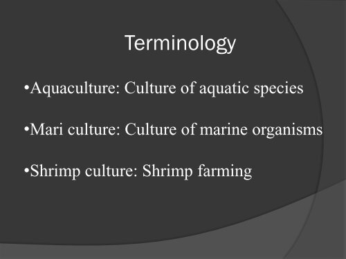 Investment Opportunities in Fisheries Sector of Sindh