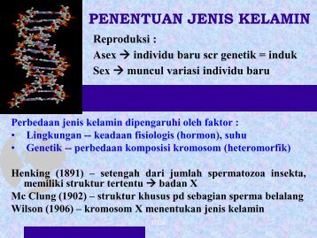 PENENTUAN JENIS KELAMIN