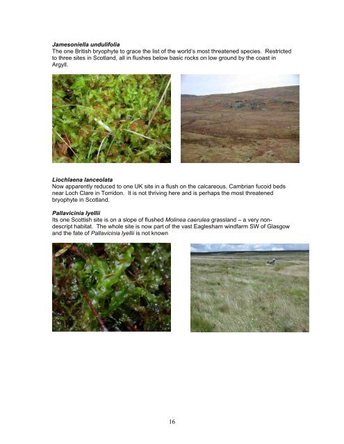 Bryophytes of springs and flushes - 2009 course notes - Plantlife