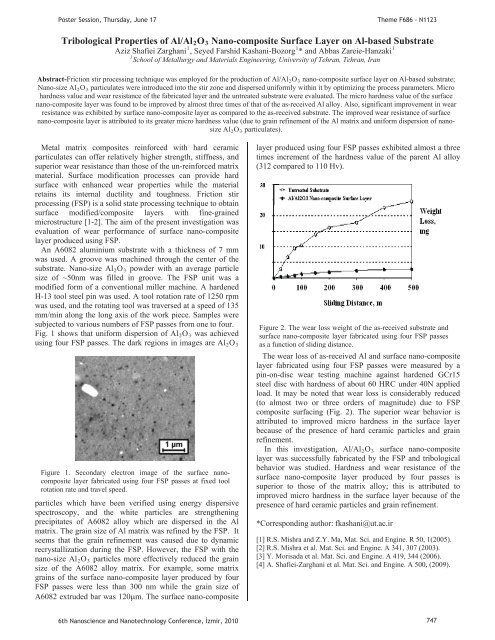 Third Day Poster Session, 17 June 2010 - NanoTR-VI