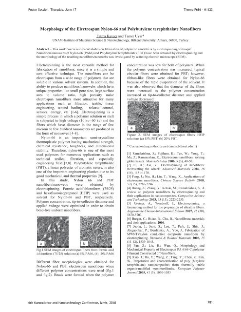 Third Day Poster Session, 17 June 2010 - NanoTR-VI