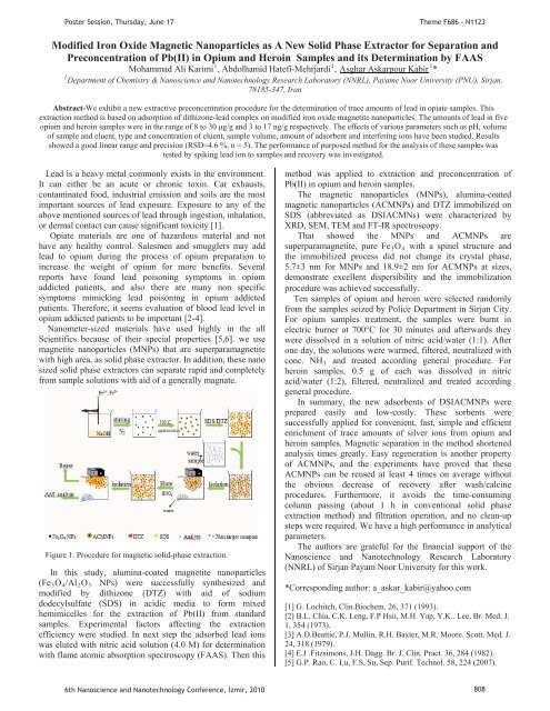 Third Day Poster Session, 17 June 2010 - NanoTR-VI