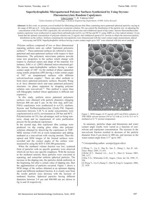 Third Day Poster Session, 17 June 2010 - NanoTR-VI
