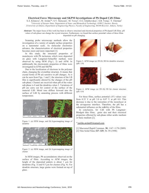 Third Day Poster Session, 17 June 2010 - NanoTR-VI