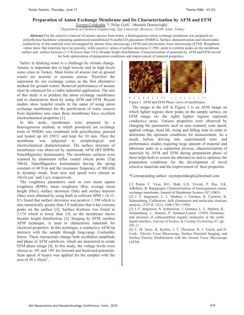 Third Day Poster Session, 17 June 2010 - NanoTR-VI