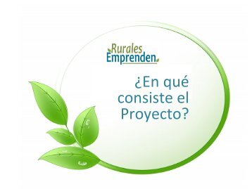 Â¿En quÃ© consiste el Proyecto? - Rem