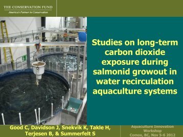 Studies on long-term carbon dioxide exposure during salmonid ...