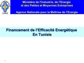 Financement de l'EfficacitÃ© EnergÃ©tique En Tunisie - Euromedina