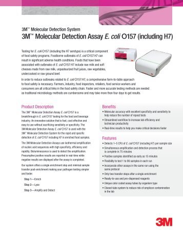 3Mâ¢ Molecular Detection Assay E. coli O157 (including H7) - NOACK