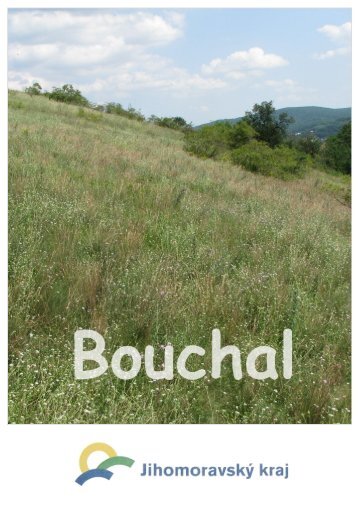 Bouchal