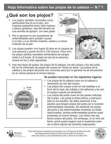 Hoja informativa sobre los piojos de la cabeza