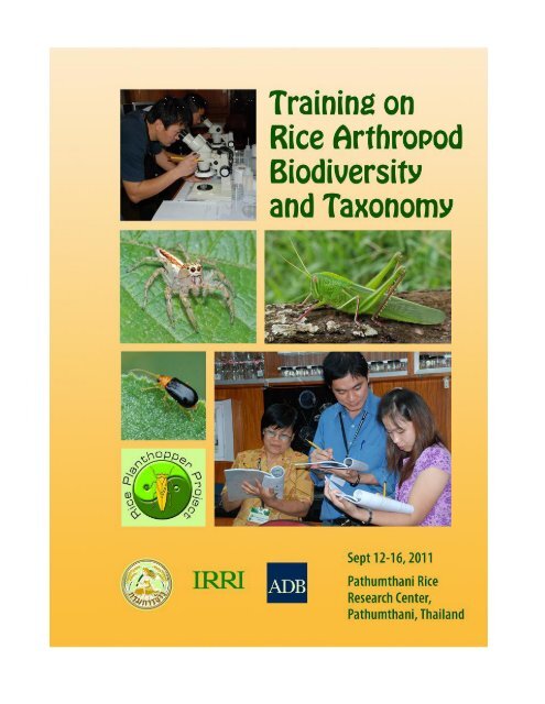 Report-Training on rice arthropod biodiversity and ... - Ricehoppers