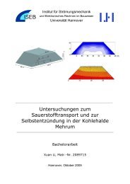 Li_Bachelorarbeit.pdf 2.7 MB - Institut für Strömungsmechanik und ...