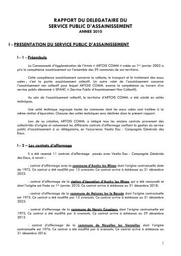 Rapport d'activitÃ© 2010 du dÃ©lÃ©gataire du service assainissement