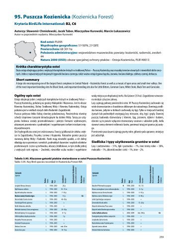 Puszcza Kozienicka â ptaki