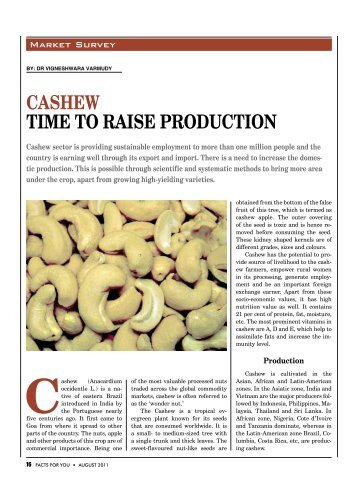 CASHEW TimE To rAiSE produCTion