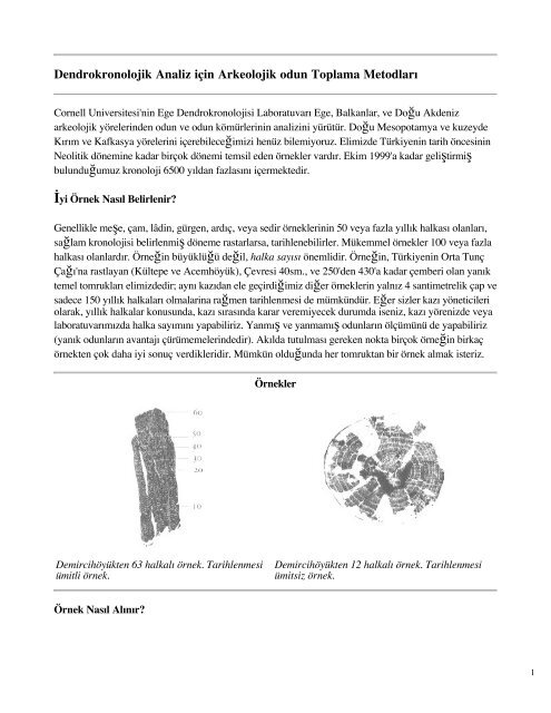 Dendrokronolojik analiz iÃ§in Arkeolojik odun ... - Cornell University