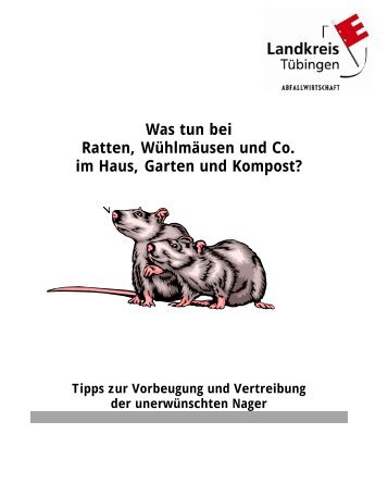 Ratten Im Garten Locher Alles Uber Home Design Inspiration