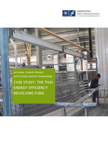 case study: the thai energy efficiency revolving fund - UNEP ...