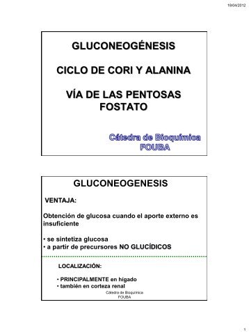 Gluconeogenesis