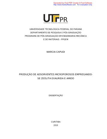 CAPUDI, Marcia.pdf - PPGEM - UTFPR