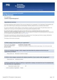 Cantillon Capital Management - Principles for Responsible Investment