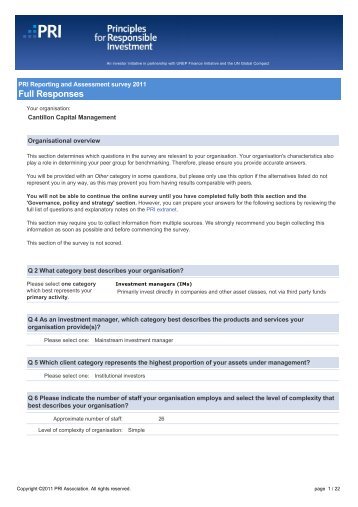 Cantillon Capital Management - Principles for Responsible Investment