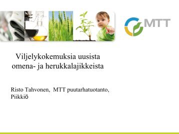 Tutkimusuutisia_Risto Tahvonen MTT - Marja- ja HedelmÃ¤tuotannon ...