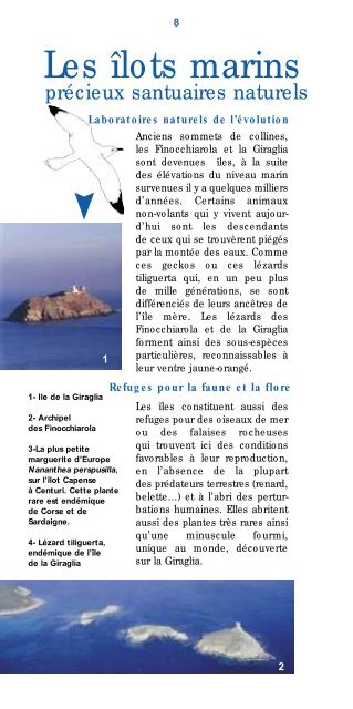 CapCorse CapCorse - La pointe du Cap Corse