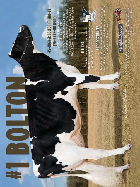 Download PDF - Holstein World Online