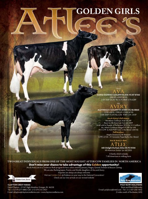 Download PDF - Holstein World Online