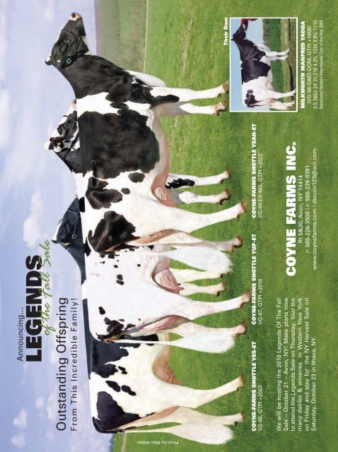 Download PDF - Holstein World Online