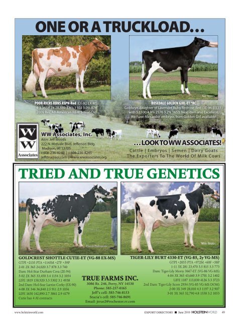 Download PDF - Holstein World Online