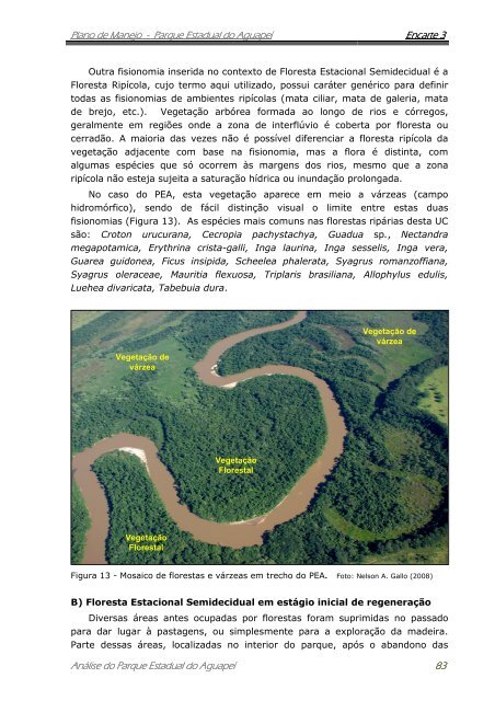 Arquivo 3: CaracterizaÃ§Ã£o â (Download â PDF) - FundaÃ§Ã£o Florestal