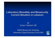 Laboratory Biosafety and Biosecurity Current Situation in Lebanon