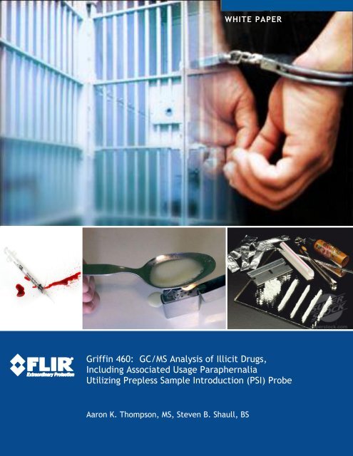 White Paper: GC/MS System for Illicit Drug Identification - FLIR.com ...