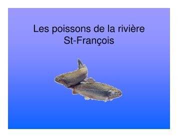 Les poissons de la rivière St-François - Science en ligne